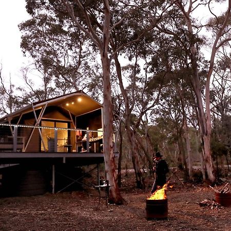 Wallabies Rest Ben Bullen Extérieur photo