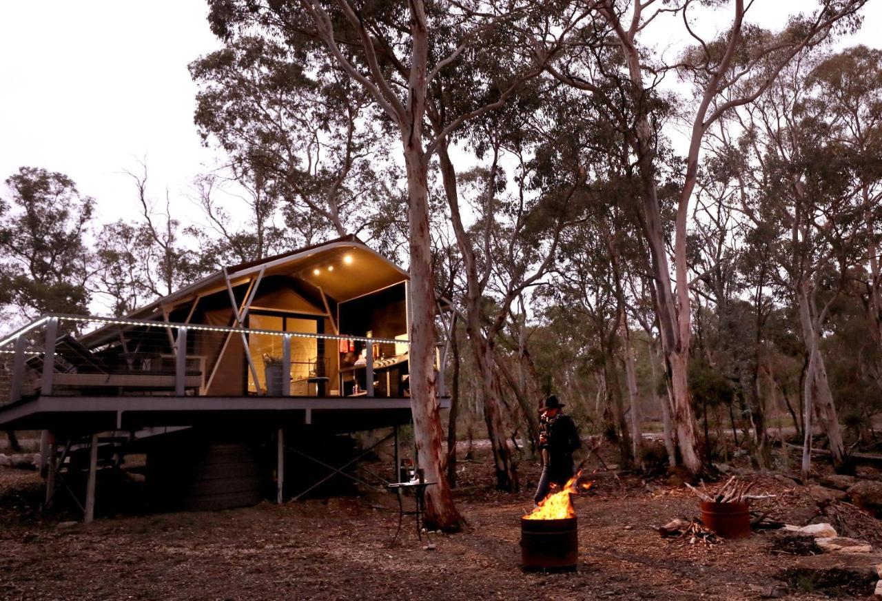 Wallabies Rest Ben Bullen Extérieur photo