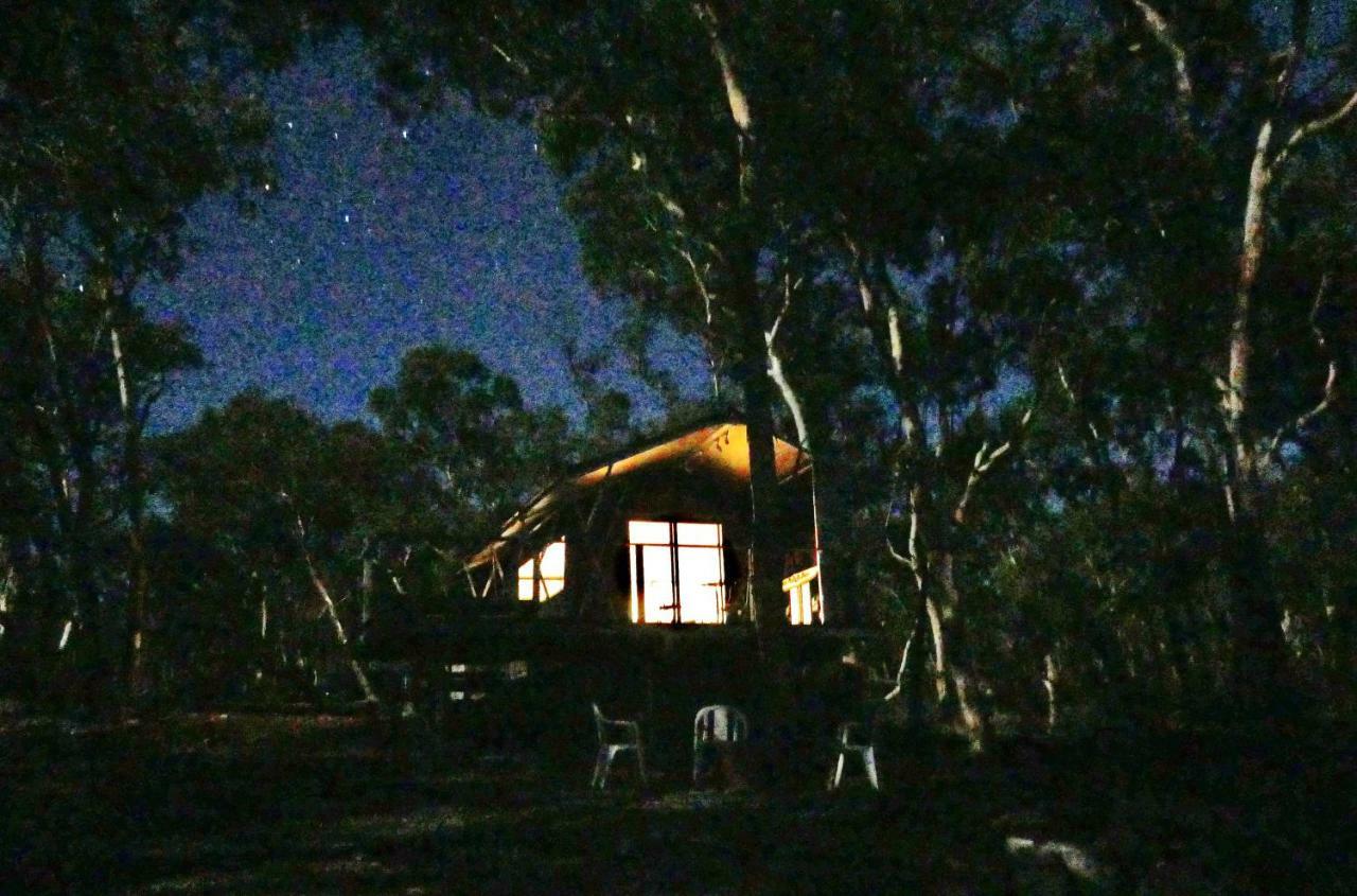 Wallabies Rest Ben Bullen Extérieur photo
